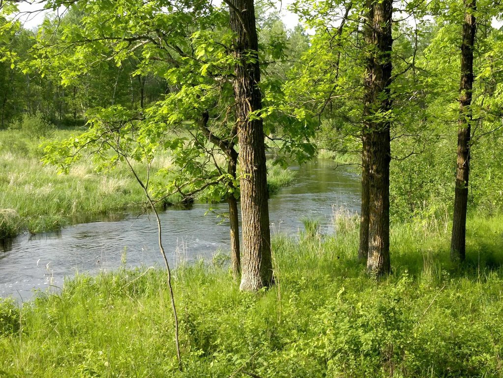 Picture 2