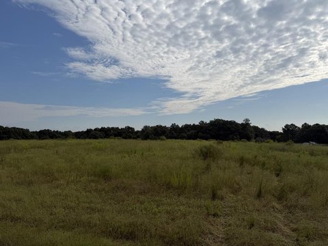 Land, Headland, AL