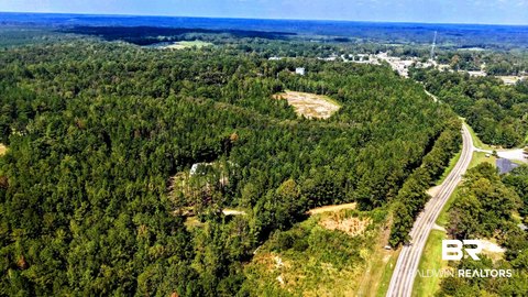 Land, Gilbertown, AL