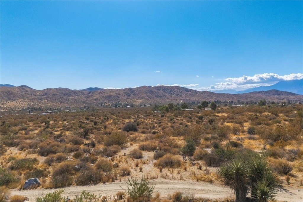 Picture 9