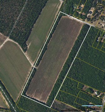 Williston SC Land For Sale