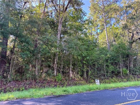 Land, Midway, GA