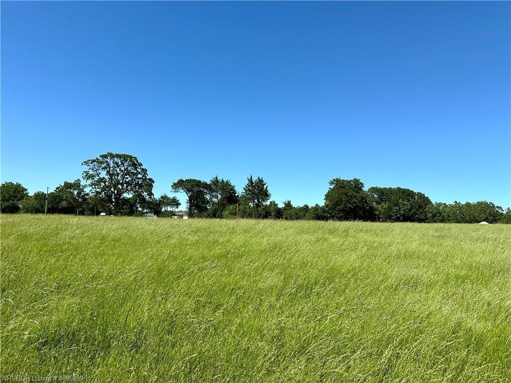 Picture 8
