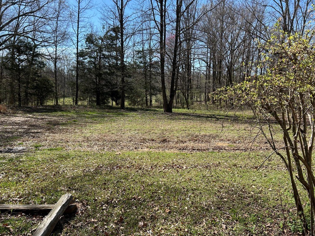 Picture 8