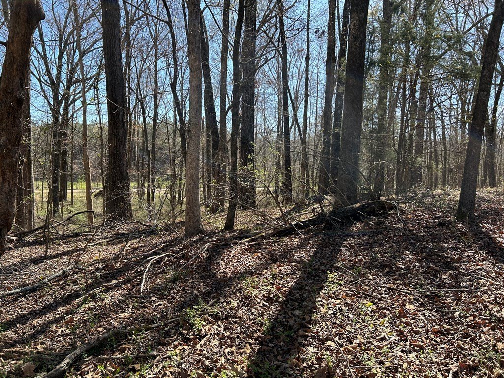 Picture 11