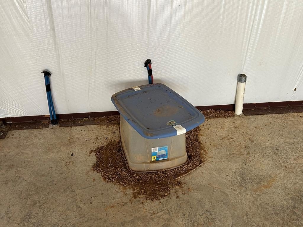 Picture 14