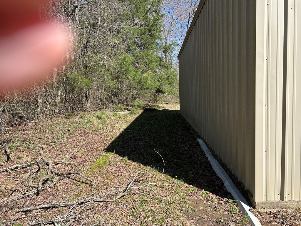 Picture 3
