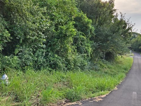 Residential Corner Lot in Palestine