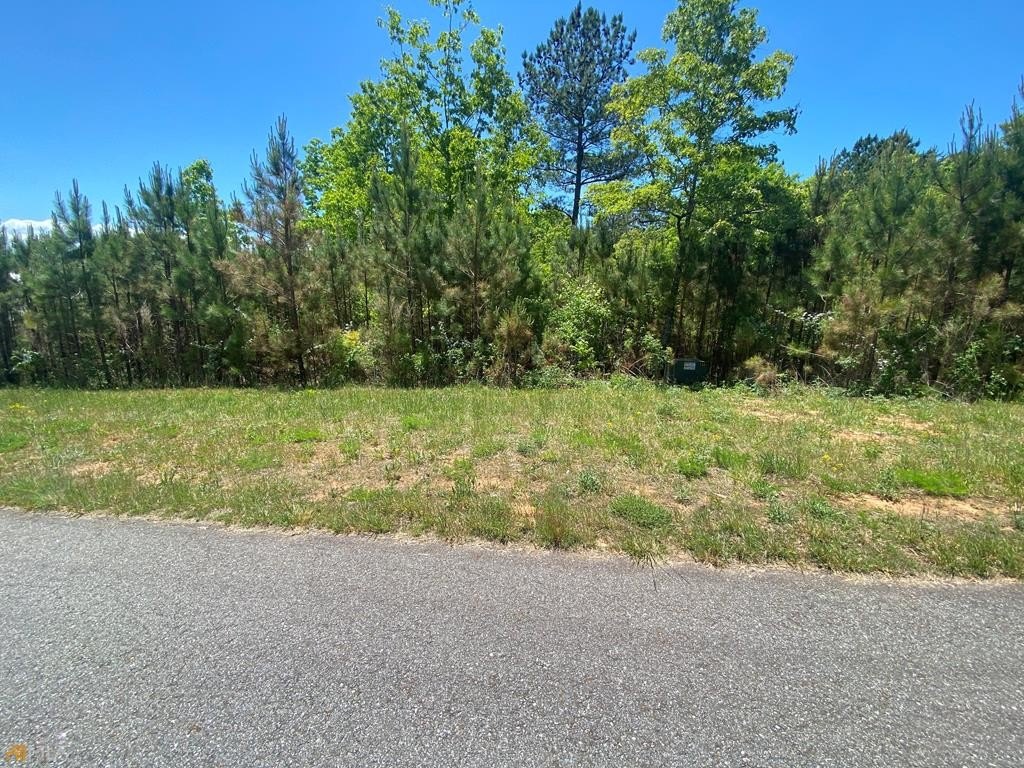 Blairsville Vacant Lot in Northshore