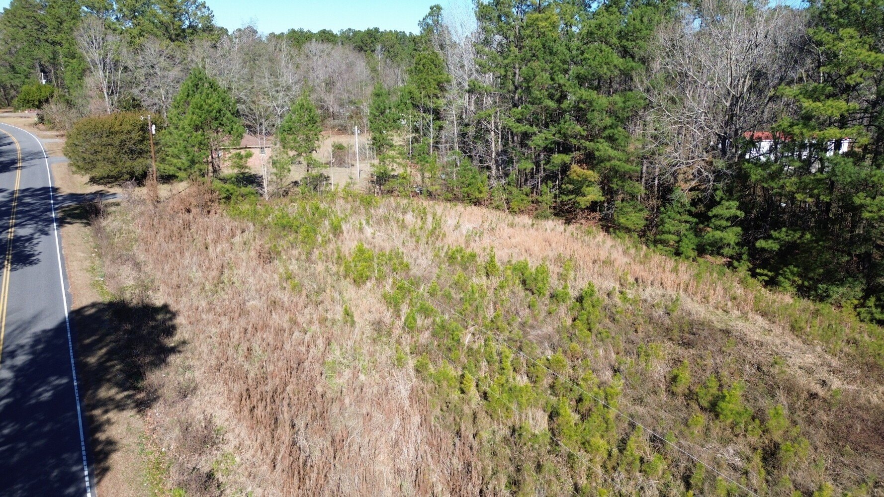 Vacant Land Near Kingstree, SC