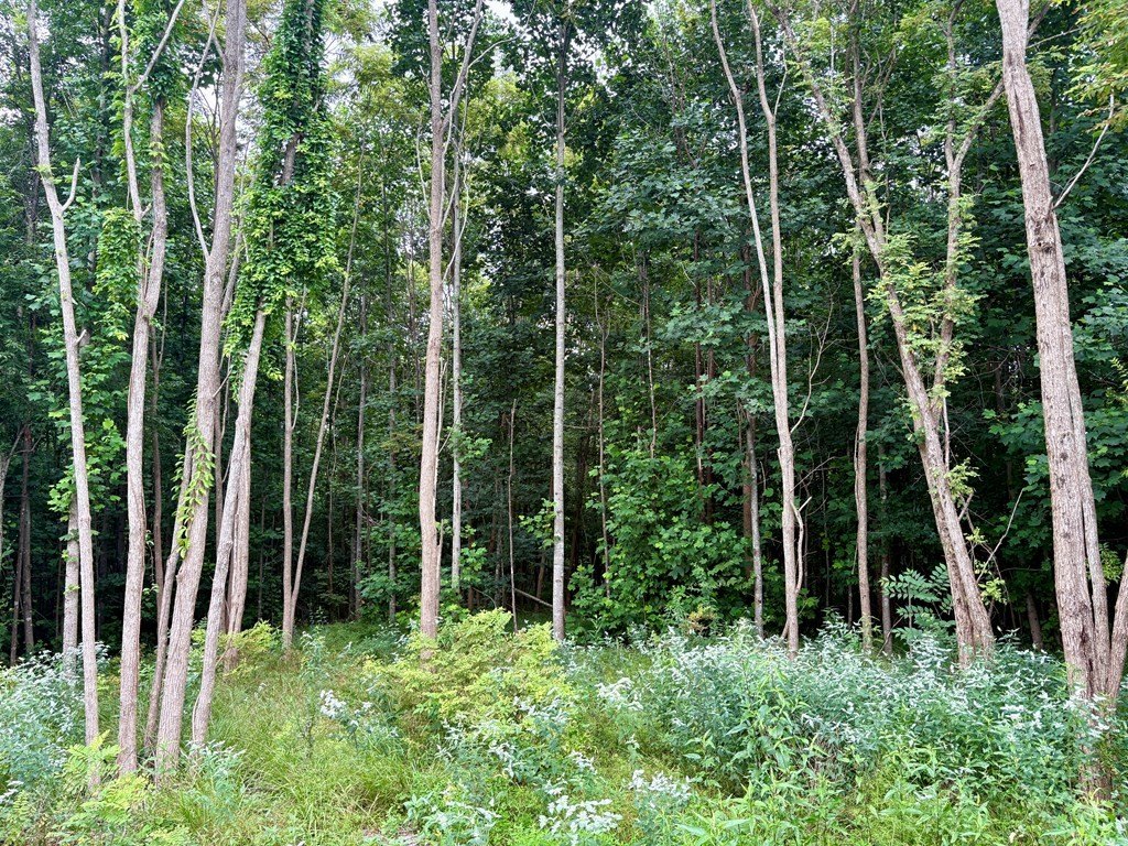 Picture 7
