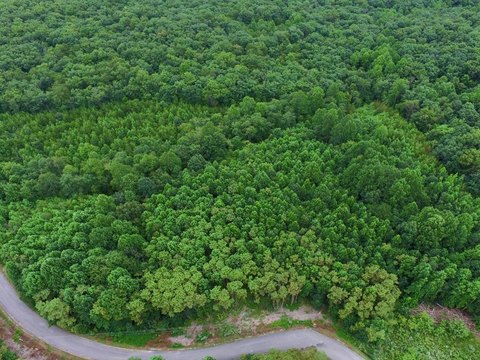LAND - Spencer, TN