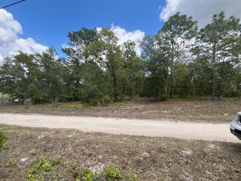 Land in Dunnellon, Florida