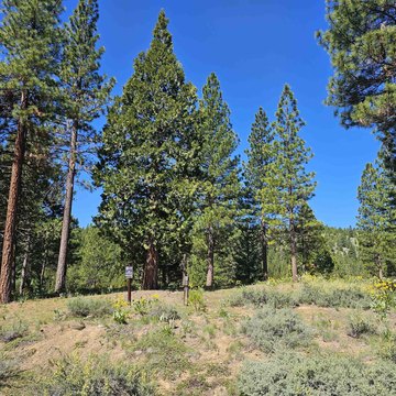 Ready-to-Build Lot in Portola