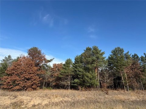 Orrock Twp Wooded Lot