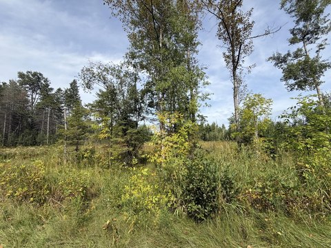 Land, Lachine, MI
