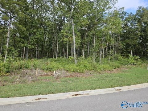 Huntsville Wooded Lot For Sale