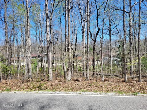 Crossville, TN Wooded Lot
