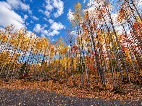 Land, Solon Springs, WI