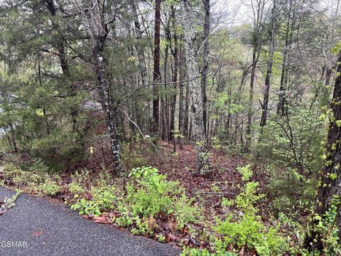 Pigeon Forge Land For Sale
