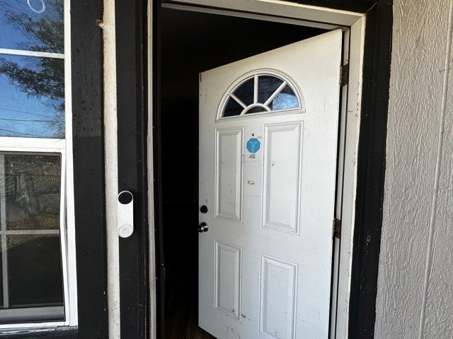 Picture 12