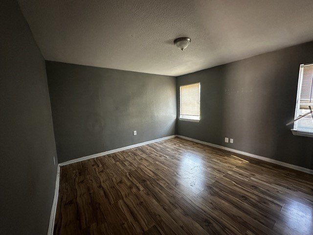 Picture 20