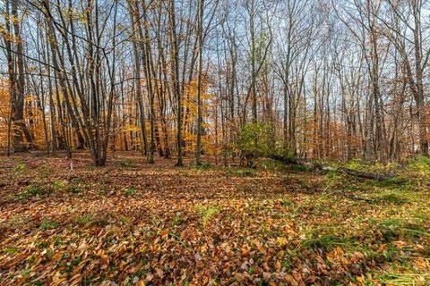 Desirable Lot in Manchester, VT