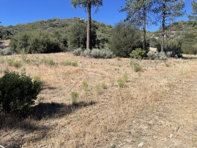 Picture 15