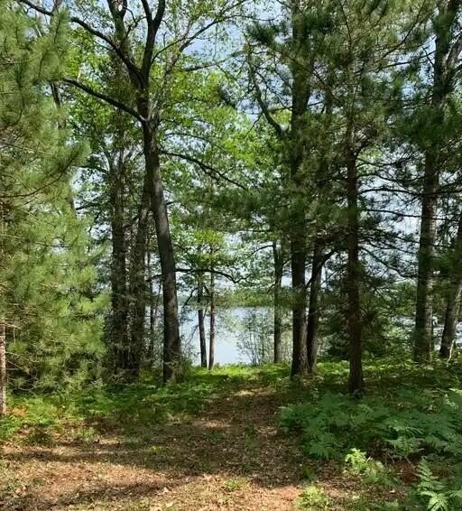 Land with McCollum Lake Frontage