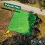 Prime 1-Acre Lot