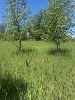 Picture 13