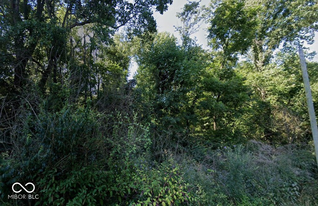 Picture 3