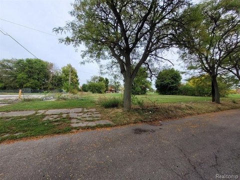 Residential Vacant Lot in Detroit