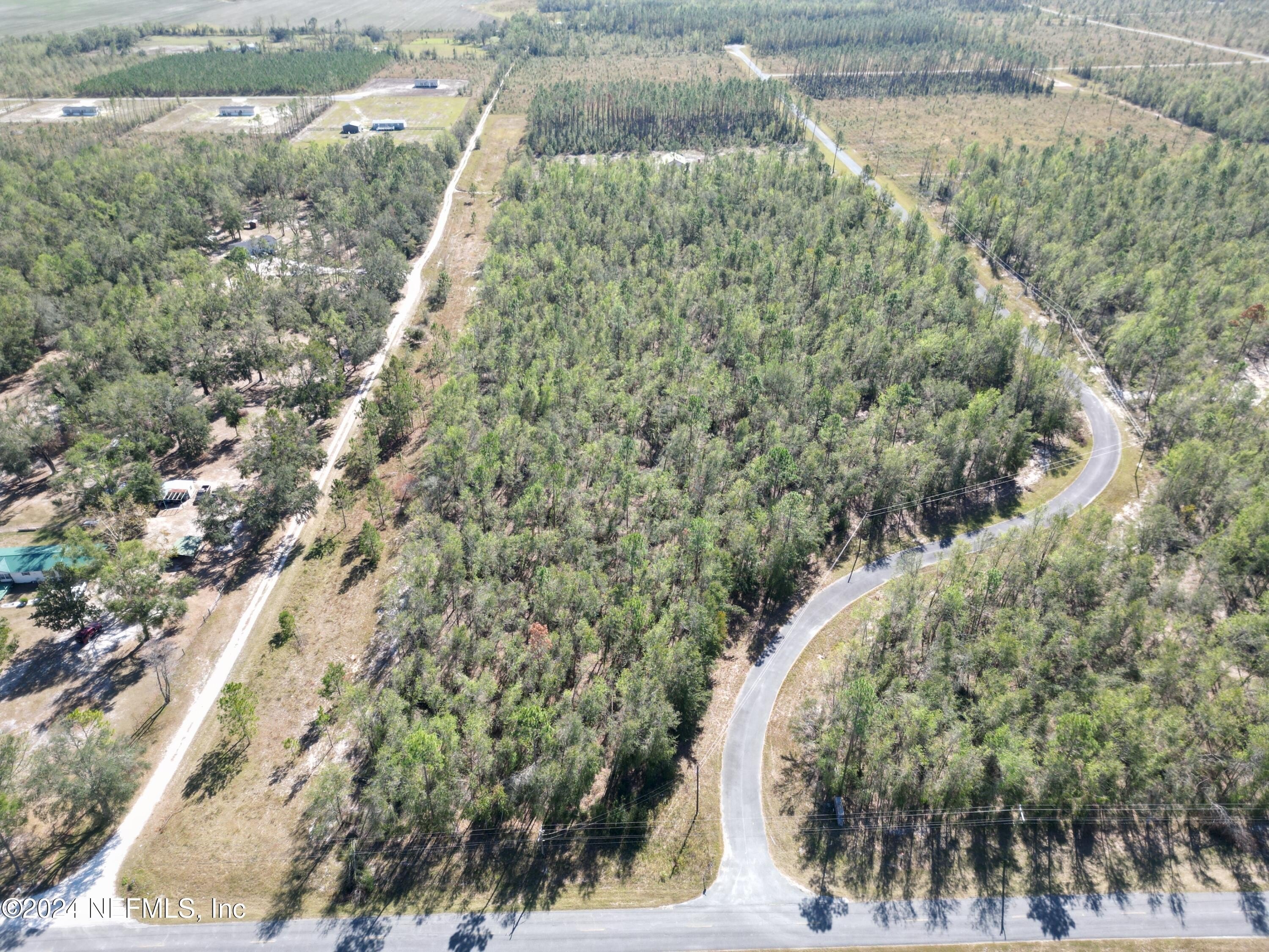 Live Oak Wooded Corner Lot