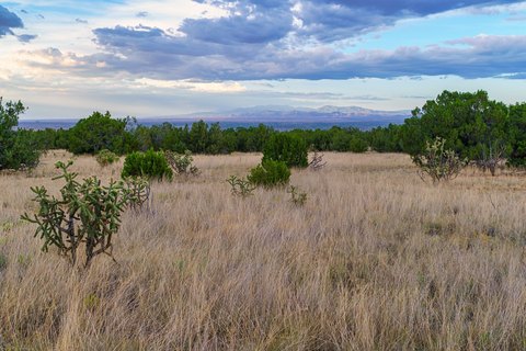 Land in Cerrillos, New Mexico