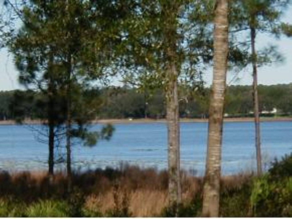 Picture 8