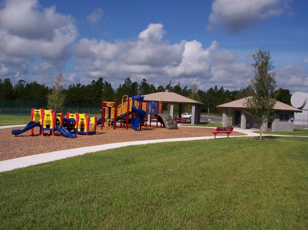 Picture 5