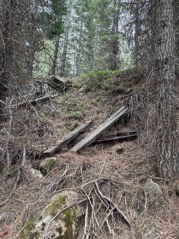 Picture 15