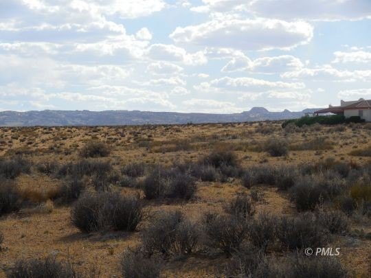 Picture 21