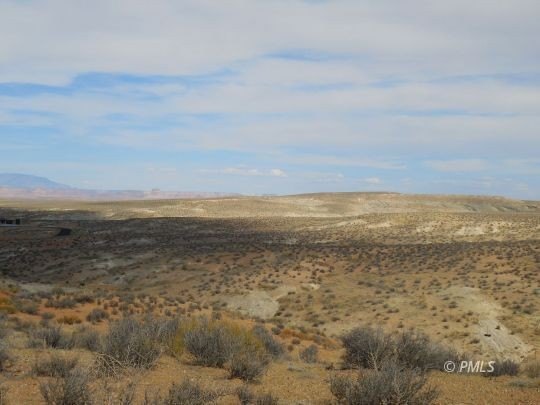 Picture 3