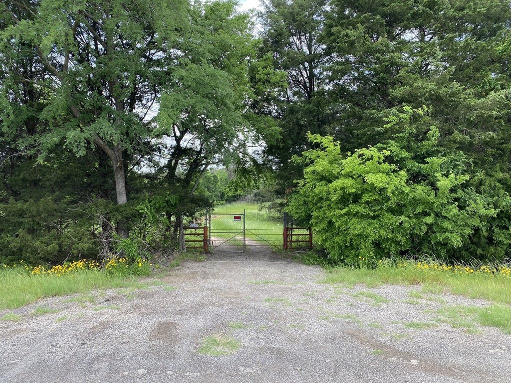 Picture 10