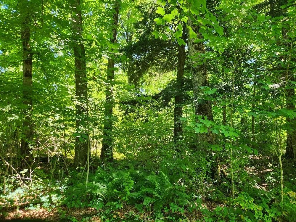 Picture 26