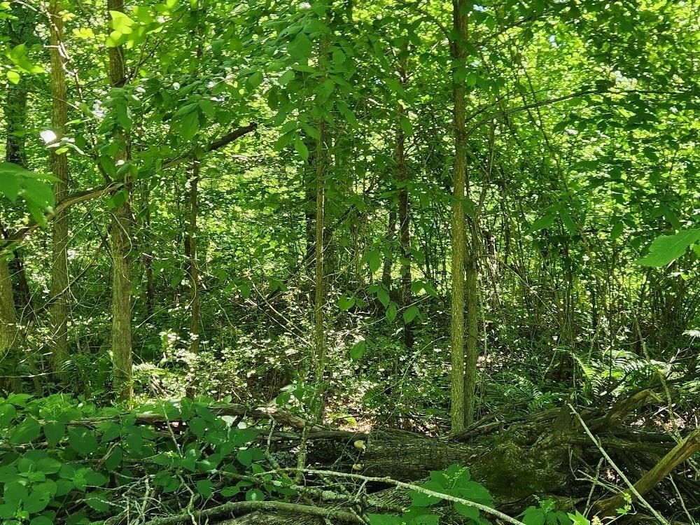 Picture 24