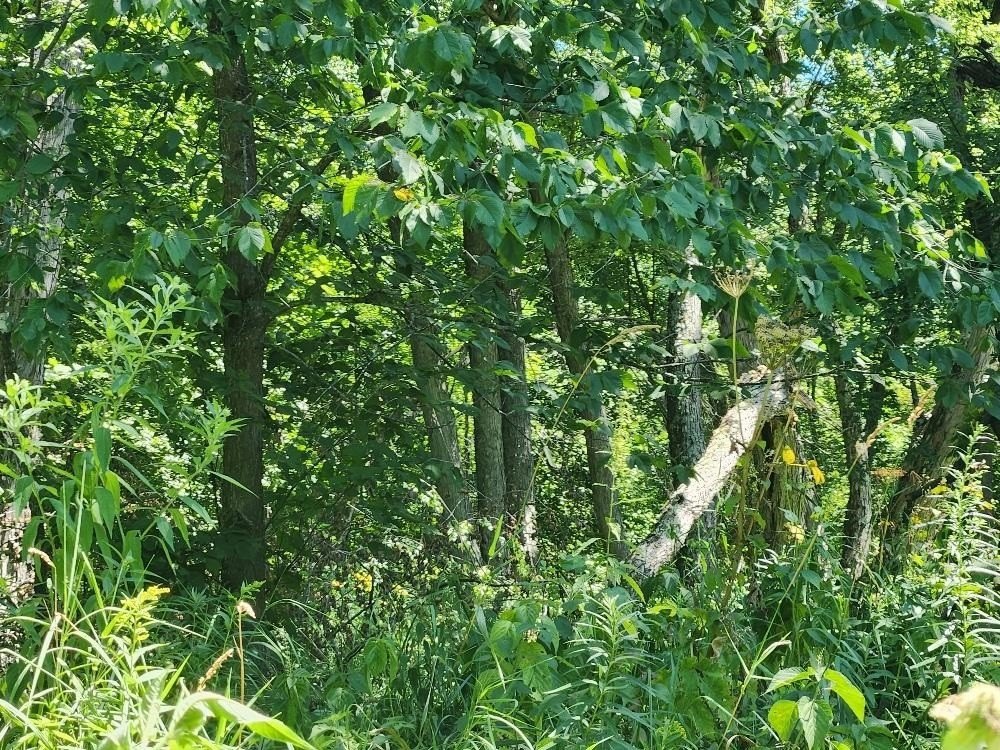 Picture 22