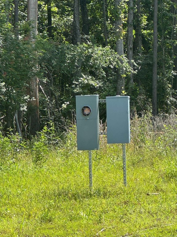 Picture 36