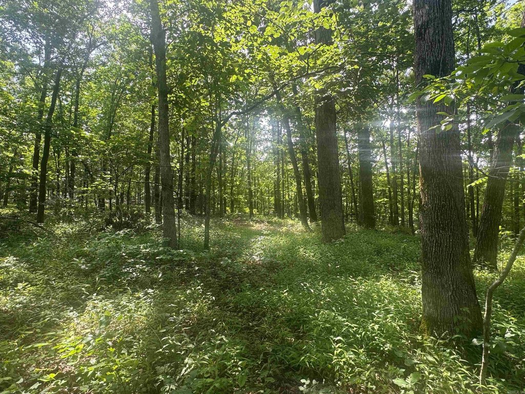 Picture 28