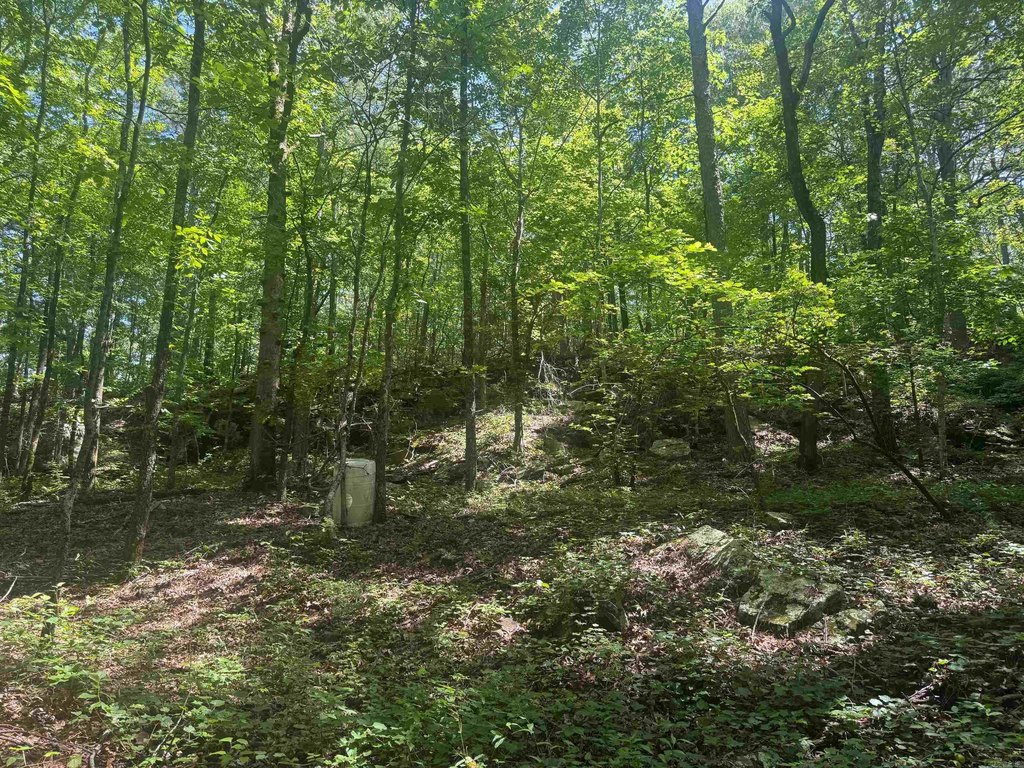 Picture 45