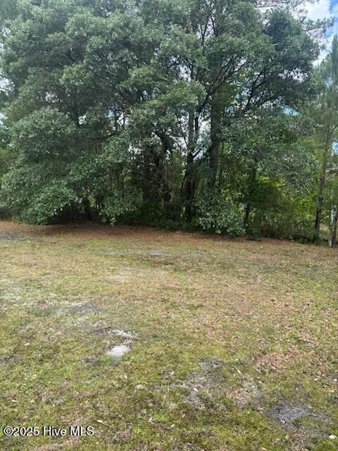 Hampstead Land Opportunity on Highway