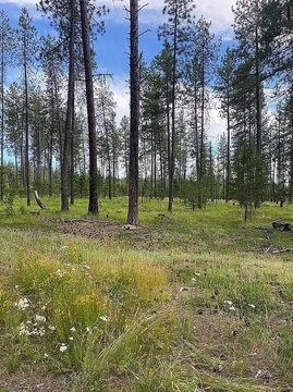 Secluded Land Parcel in Elk, WA