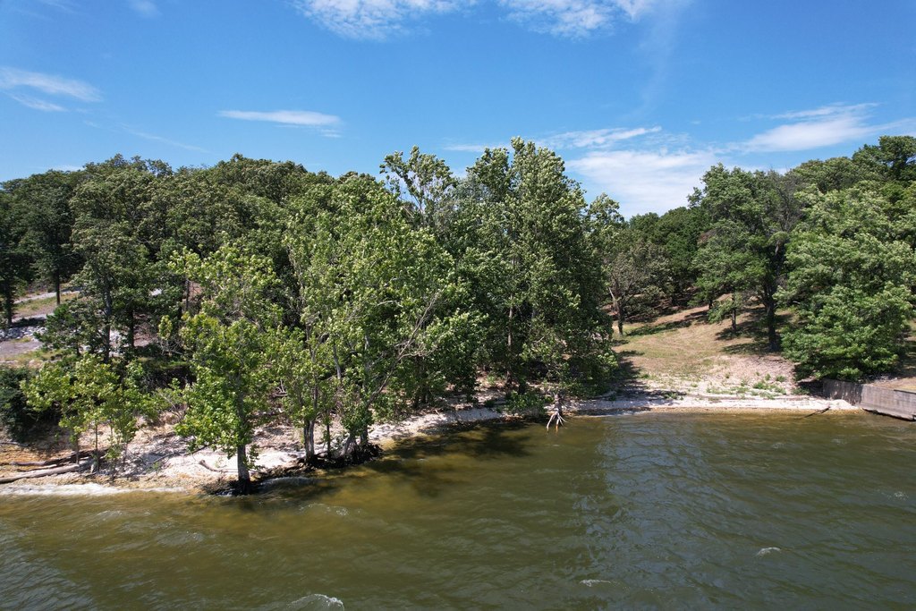 Picture 20